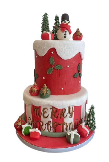 Gâteau de Noël